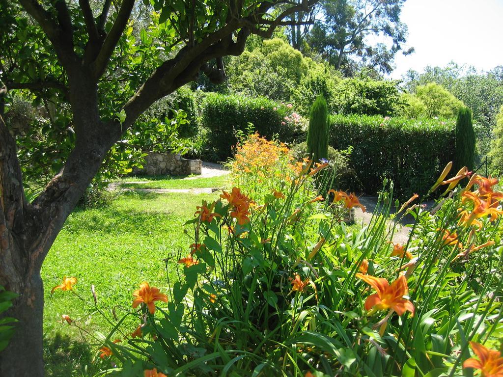 Mas De Vence - Hotel-Restaurant ภายนอก รูปภาพ